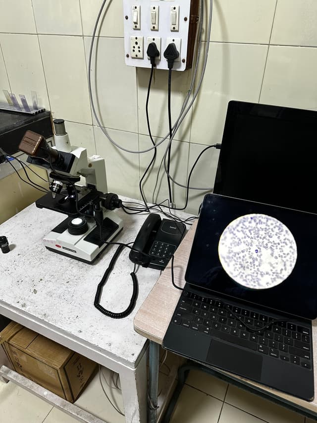 DigiMach – AI-Based Microscopy image
